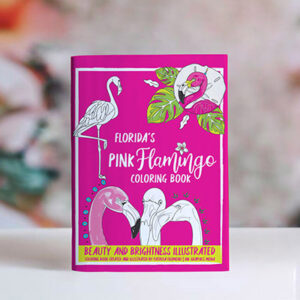 flamingo-coloring-books